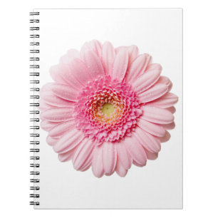 Cuaderno Pink Gerbera Daisy