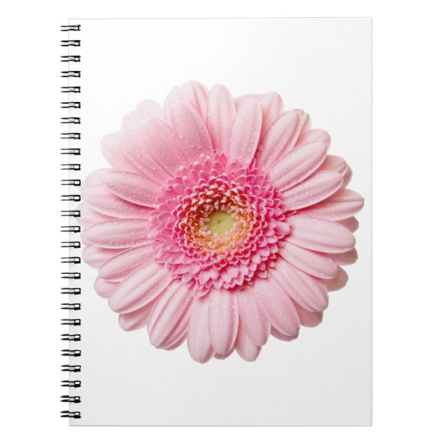 Cuaderno Pink Gerbera Daisy (Frente)