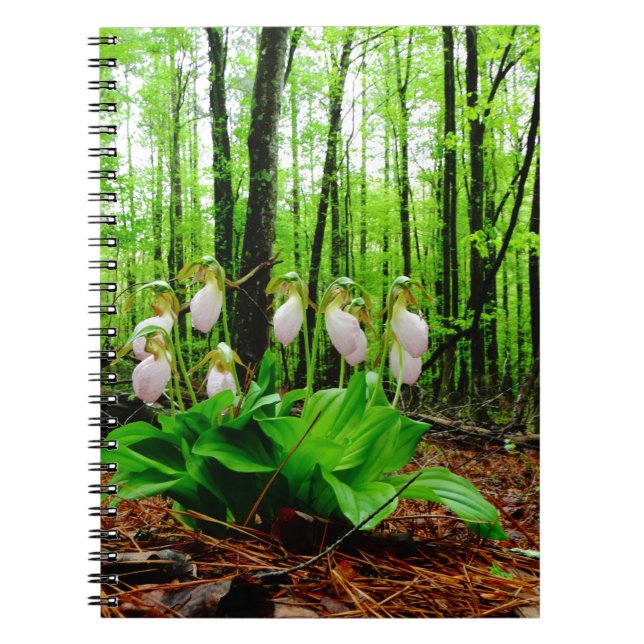 Cuaderno Pink Lady Slipper Wild Orchid (Frente)