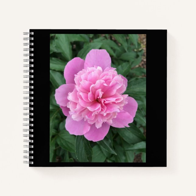 Cuaderno Pink Peony (Anverso)