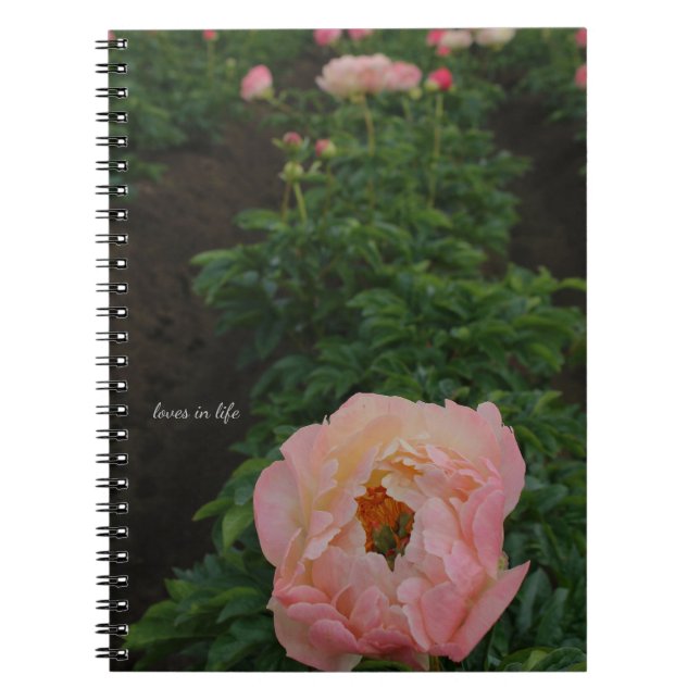 Cuaderno Pink Peony independiente (Frente)
