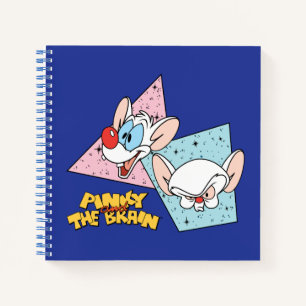 Cuaderno Pinky y el cerebro   Gráficos de caracteres retro