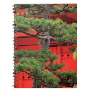 Cuaderno Pino Bonsái