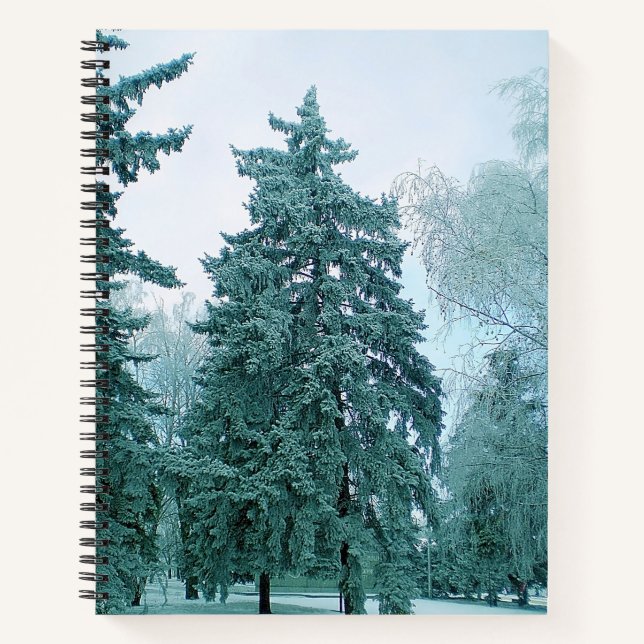 Cuaderno Pino invernal con nieve (Anverso)