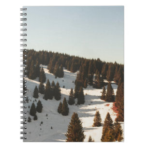 CUADERNO PINOS VERDES