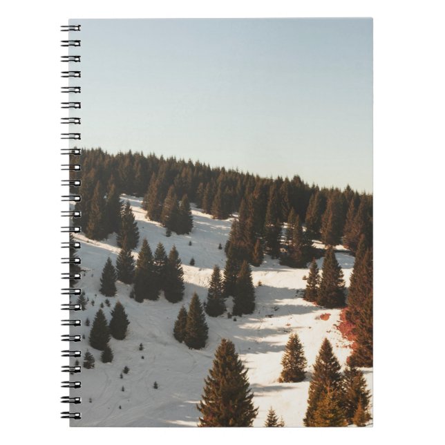 CUADERNO PINOS VERDES (Frente)