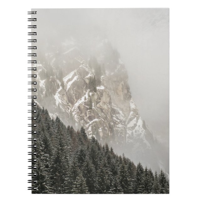 CUADERNO PINOS VERDES (Frente)