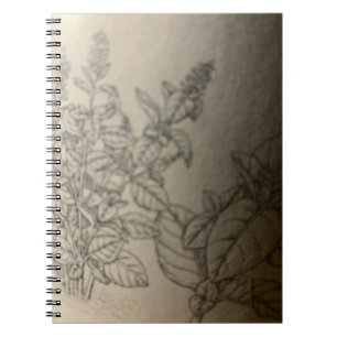 Cuaderno pinta albahaca.