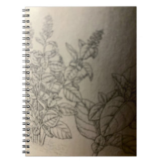 Cuaderno pinta albahaca.