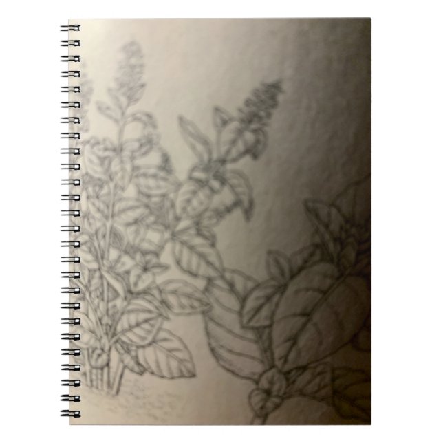Cuaderno pinta albahaca. (Frente)