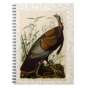 Cuaderno Pintado de aves salvajes Audubon en Turquía