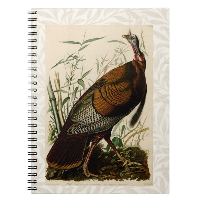 Cuaderno Pintado de aves salvajes Audubon en Turquía (Frente)