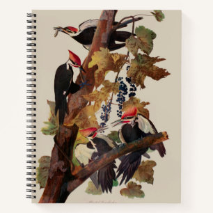 Cuaderno Pintado de pájaro carpintero con basculante Audubo