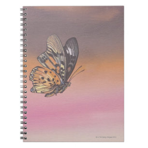 Cuaderno Pintando la representación de la mariposa en vuel