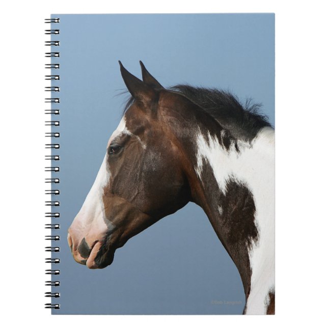 Cuaderno Pinte el Headshot 1 del caballo (Frente)