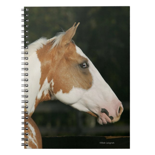 Cuaderno Pinte el Headshot 2 del caballo (Frente)