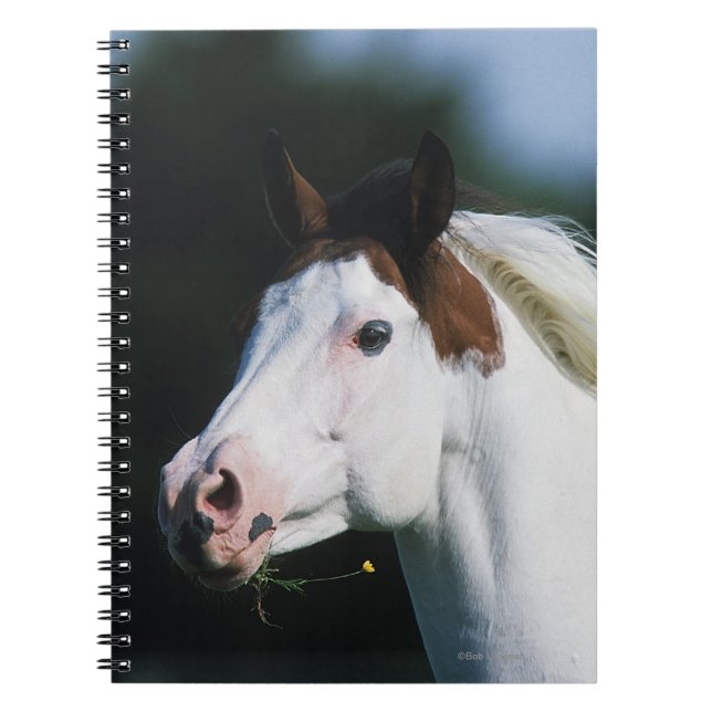 Cuaderno Pinte el Headshot 3 del caballo (Frente)