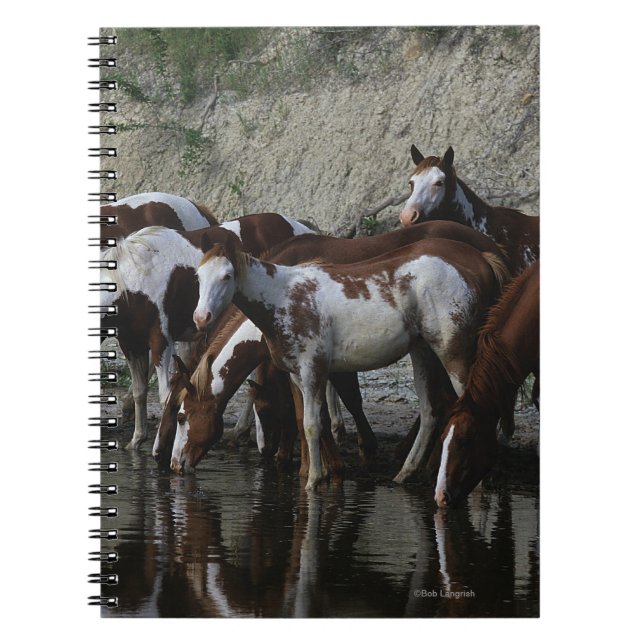 Cuaderno Pinte la consumición de los caballos (Frente)