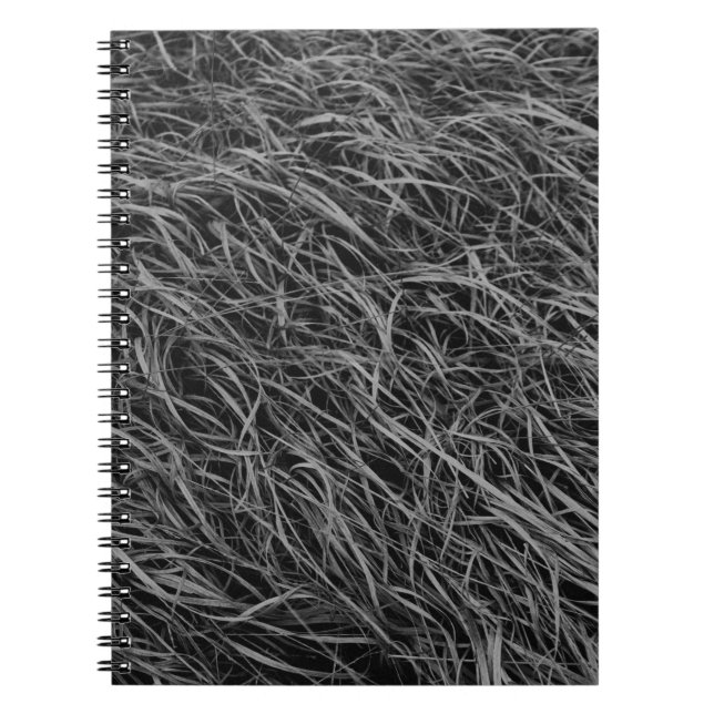 Cuaderno Pintura abstracta en blanco y negro (Frente)