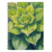 Pintura botánica de planta suculenta verde