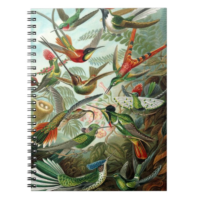 Cuaderno pintura clásica de la fauna silvestre de comingbir (Frente)