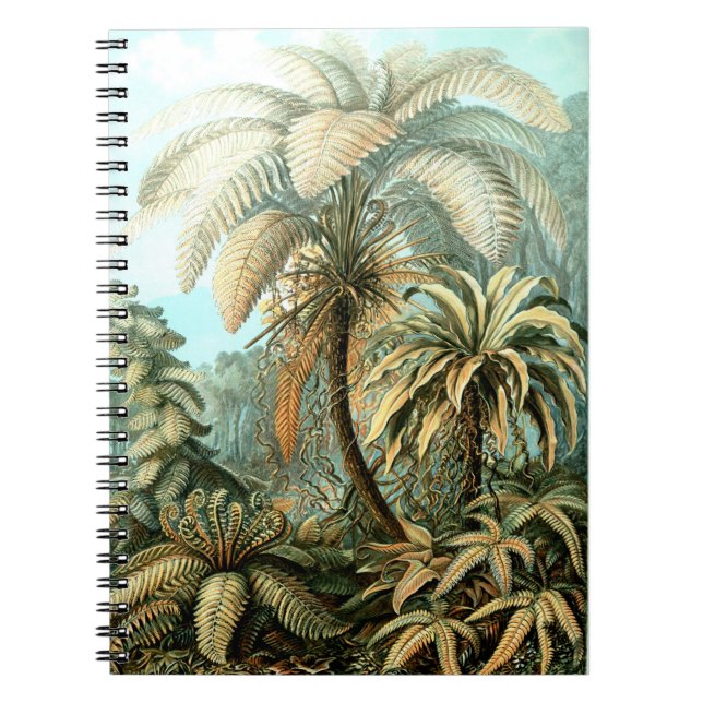 Cuaderno Pintura clásica de la jungla (Frente)