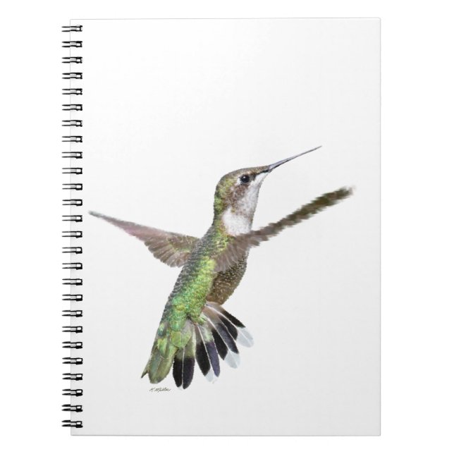 Cuaderno Pintura de berlinés de colibrí (Frente)
