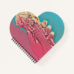 Cuaderno Pintura de helado