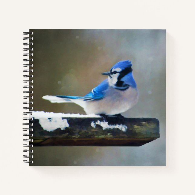 Cuaderno Pintura de Jay azul - Arte de pájaro original (Anverso)