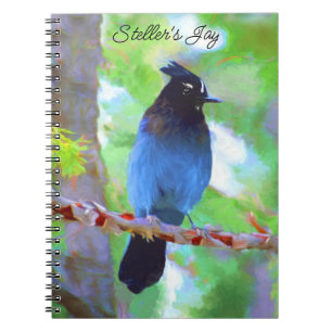 Cuaderno Pintura de Jay de Steller - Arte de pájaro origina