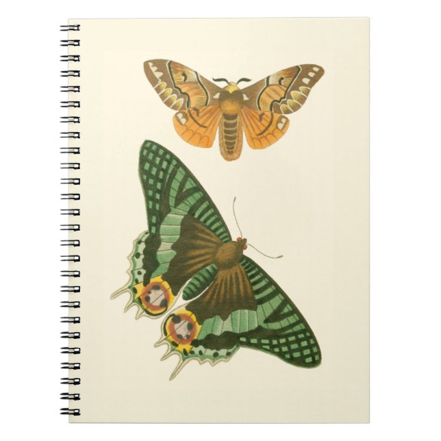 Cuaderno Pintura de mariposa ligeramente bordeada (Frente)