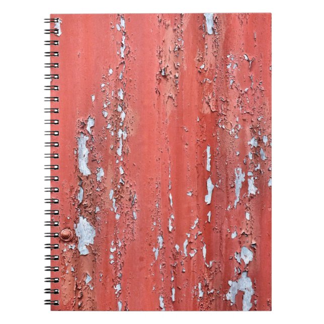 CUADERNO PINTURA DE PEELING (Frente)