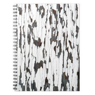 Cuaderno Pintura de pintura blanca