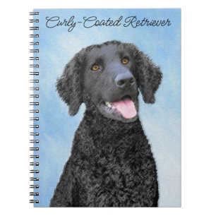 Cuaderno Pintura de recuperación con recubrimiento de curry