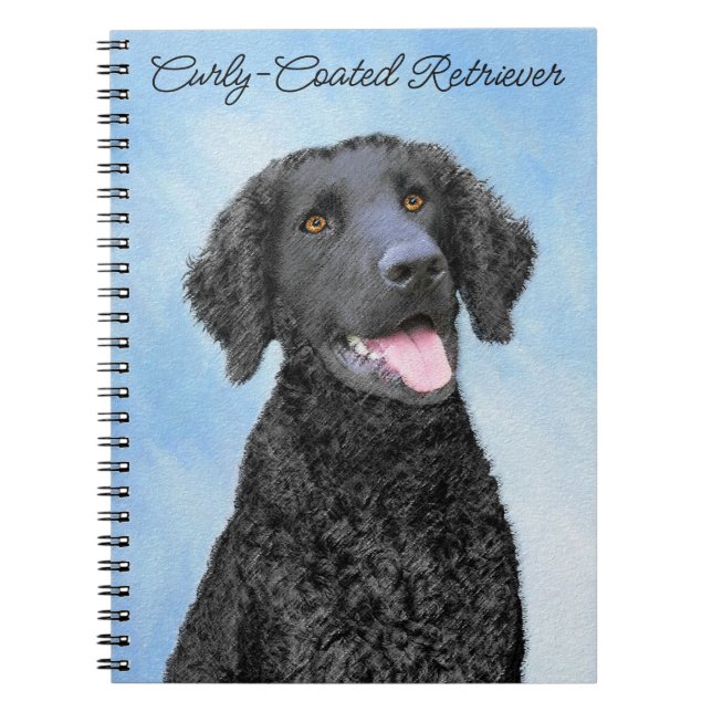 Cuaderno Pintura de recuperación con recubrimiento de curry (Frente)