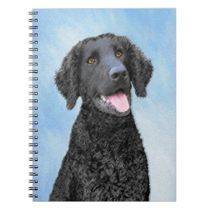 Cuaderno Pintura de recuperación con recubrimiento de curry