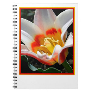 Cuaderno Pintura de tulipán brillante
