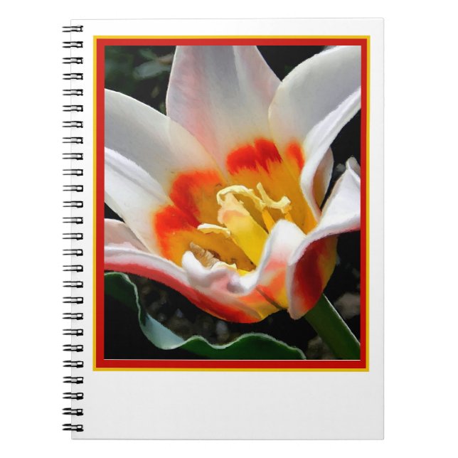 Cuaderno Pintura de tulipán brillante (Frente)