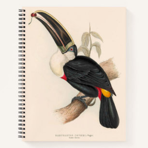 Cuaderno Pintura de vida silvestre de aves antiguas de Touc