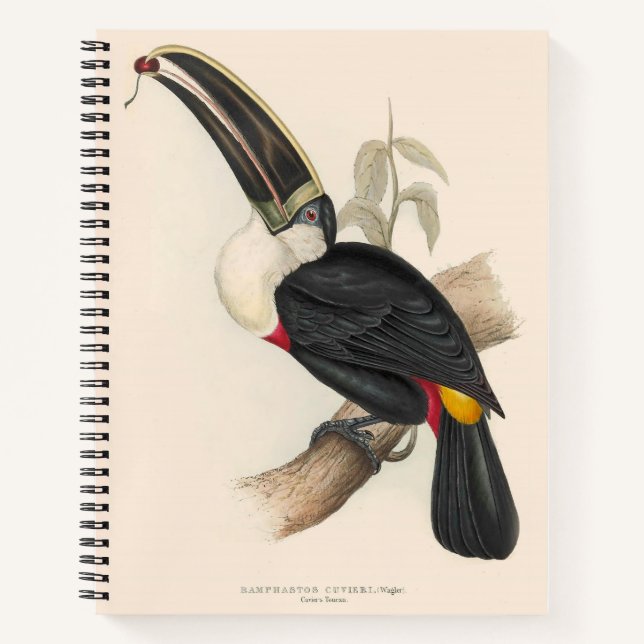 Cuaderno Pintura de vida silvestre de aves antiguas de Touc (Anverso)