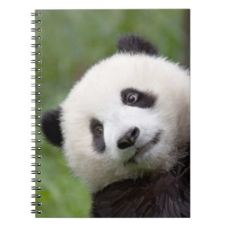 Cuaderno Pintura del cachorro de la panda