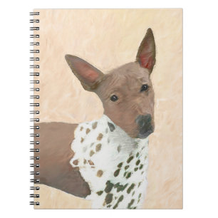 Cuaderno Pintura estadounidense sin pelo y más terrible - A