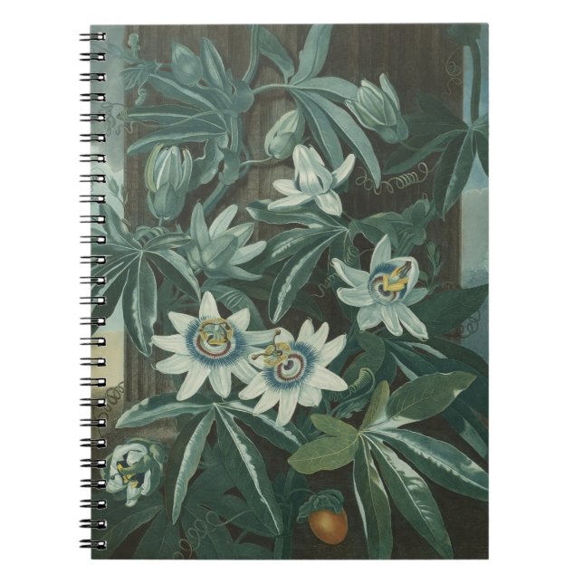 Cuaderno Pintura moderna de flores (Frente)