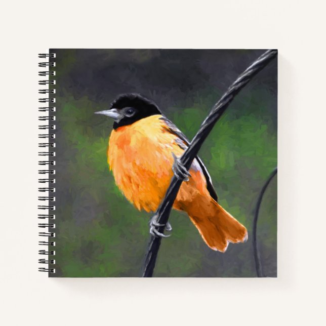Cuaderno Pintura Oriole - Arte original de aves (Anverso)