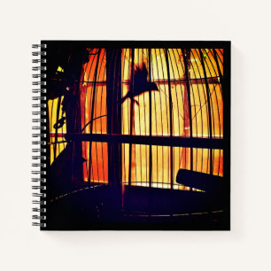 Cuaderno Pinzón en Vuelo