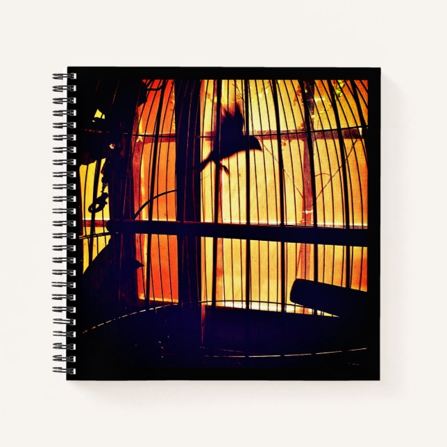Cuaderno Pinzón en Vuelo (Anverso)