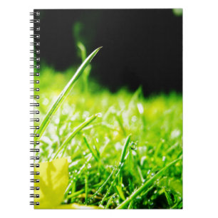 Cuaderno pío