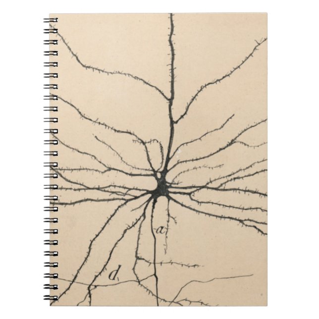 Cuaderno Piramida Neuron Dibujo Por Santiago Ramón Y Cajal (Frente)