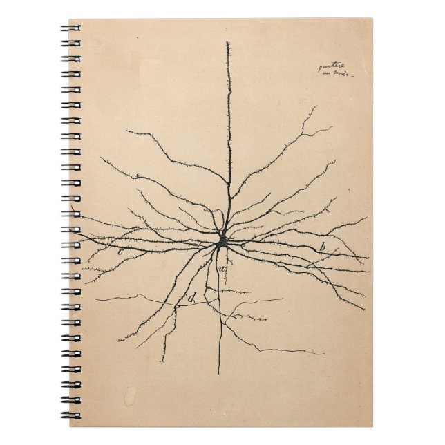 Cuaderno Piramida Neurona Dibujo de Santiago Ramon y Cajal (Frente)