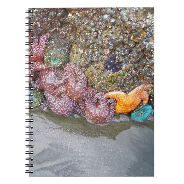 Cuaderno Piscina de marea, playa de Ruby, Parque Nacional O (Frente)